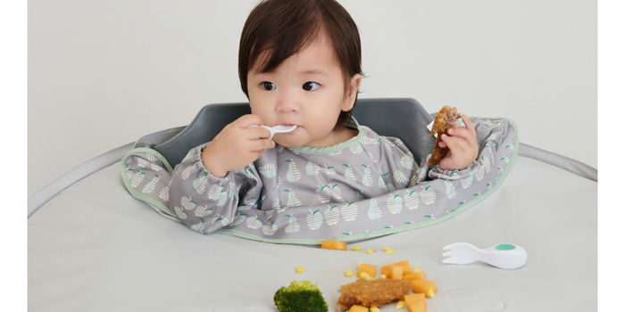 Empower Your Little Food Explorers: Introducing Doddl and Tidy Tot's  Must-Have Tools for Baby-Led Weaning Success