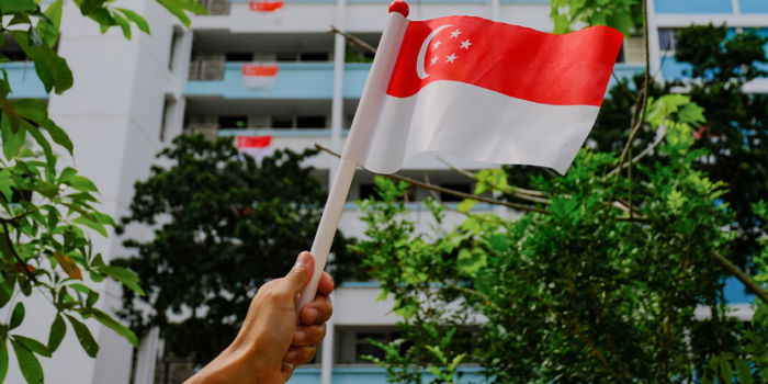 Things To Do This National Day 2023 in Singapore: 5 Epic Activities to Unleash Your Patriotism!