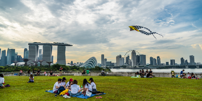 NDP Fireworks Picnic: 10 Must-Haves for Families