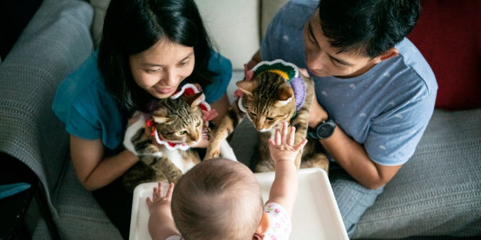 Understanding Childcare Leave Singapore: A Comprehensive Guide for Parents