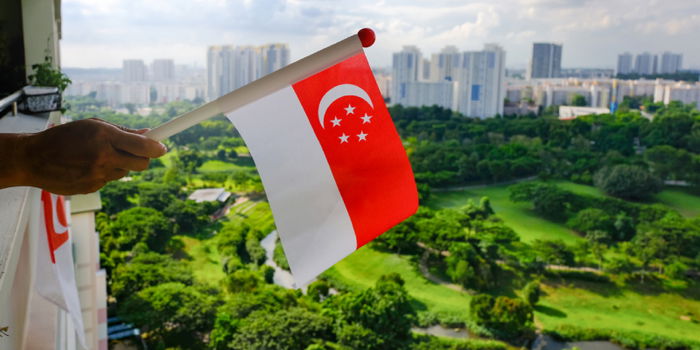 NDP 2023 Live Screening: A Celebration for All Ages