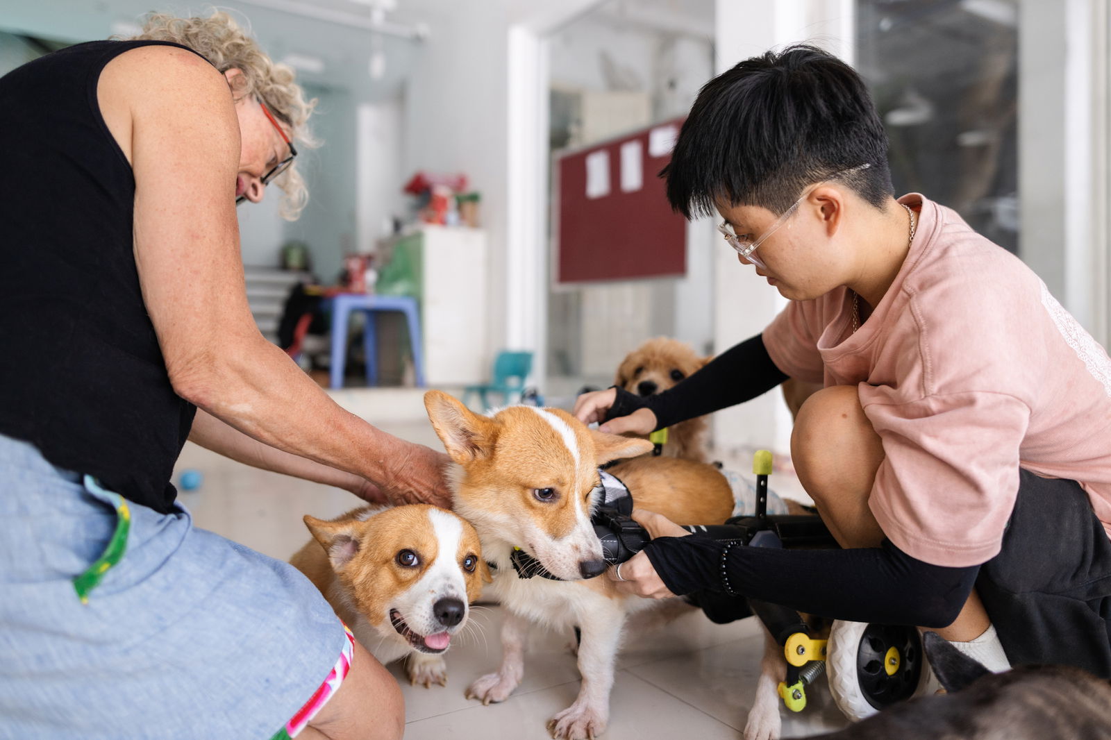Your Comprehensive Guide to Dog Adoption in Singapore