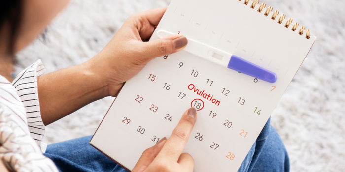 The Basic Ovulation Test Kits: All You Need To Know About Using OPKs!