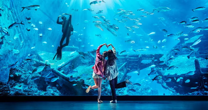 S.E.A. Aquarium: Dive into an Ocean Wonderland
