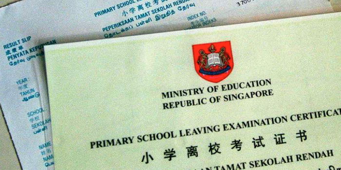 Ultimate Guide on How to Retrieve Education Certificate in Singapore: Easy and Fast!