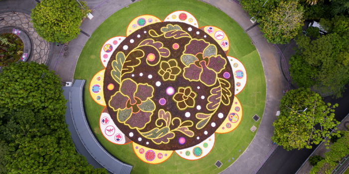 Catch Gardens by the Bay Flower Carpet Until October 1