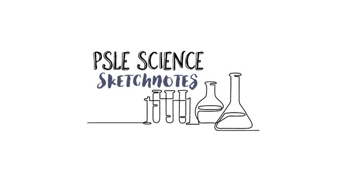 PSLE Science Sketch Notes: Your Key to Mastering Science