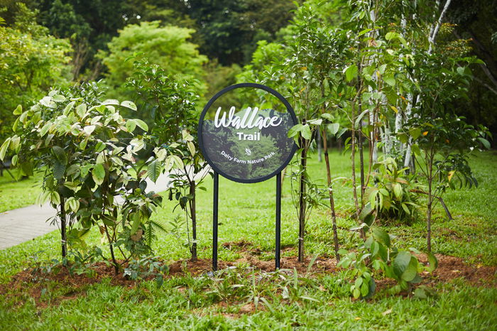 Explore the Best of Dairy Farm Nature Park: An Outdoor Paradise for Family Fun and Adventurex