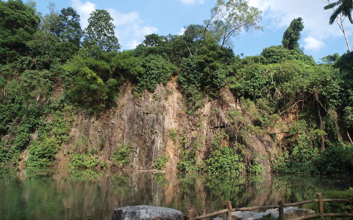 Exploring Singapore's Hidden Gem: A Comprehensive Guide to Bukit Batok Nature Park