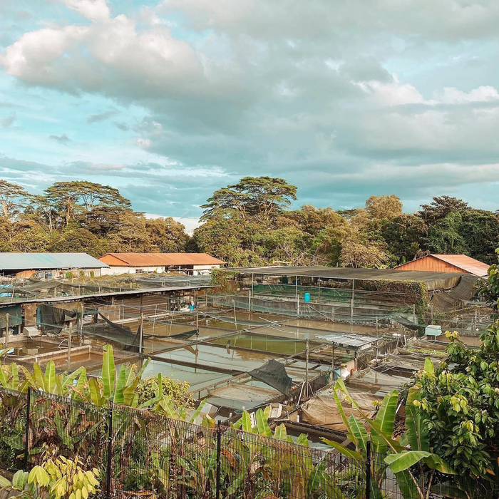 Nature Kindred: Nurturing Family Bonds Amidst Natures Bounty