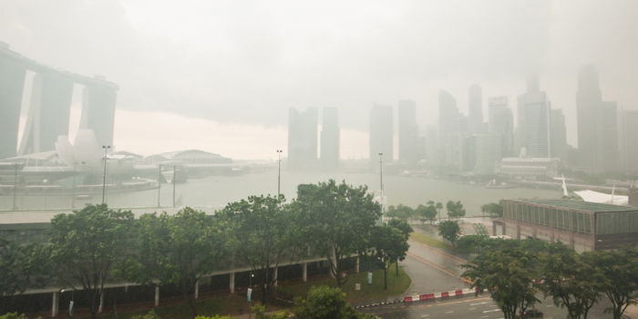 Singapore Experiences Rare 'Air Con Weather', Lower Temperatures Surprise Residents