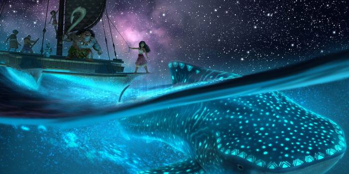 Exciting News: Moana 2 Coming to Cinemas This November