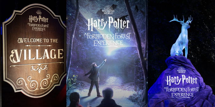 Embarking on the Enchanting Adventure: Harry Potter Forbidden Forest Experience in Singapore