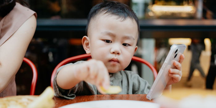 The Impact of Children's Unhealthy Lifestyle on Disease Risks: Insights from a Singapore Study