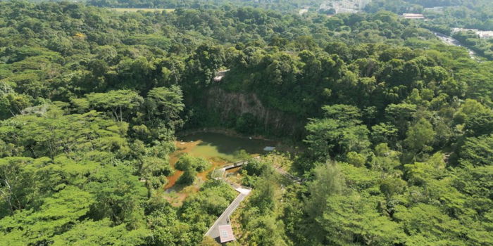 Discovering the Charm of Rifle Range Nature Park