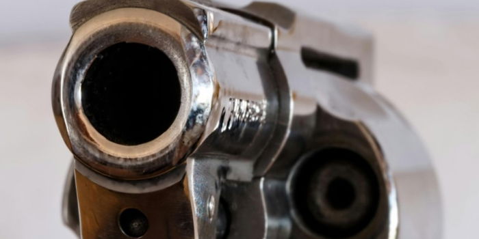 Malaysian Girl, 14, Dies After Police Chief Dad Leaves Gun at Home