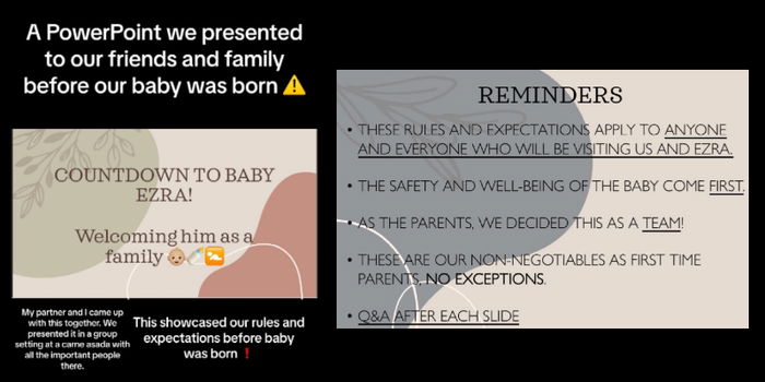Mum's Rules for Visiting Newborn Shred Through Powerpoint Presentation