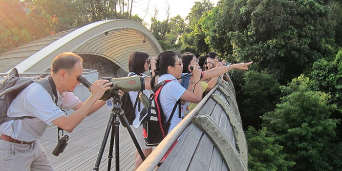 How Birdwatching Improves Mental Health