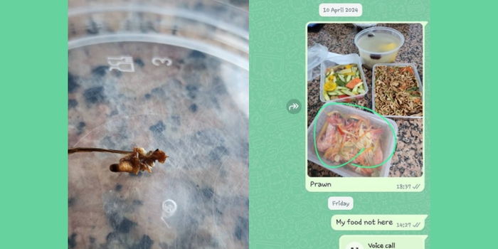 'Worse than cai fan': Mum Upset by 'Insects and Foreign Objects' in Confinement Meals