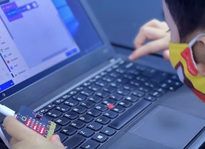 Little  Coder