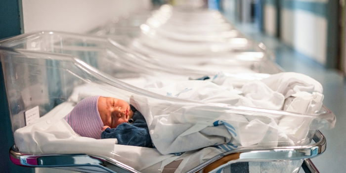Live Births in Singapore Hit a 50-Year Low: What's Going On?