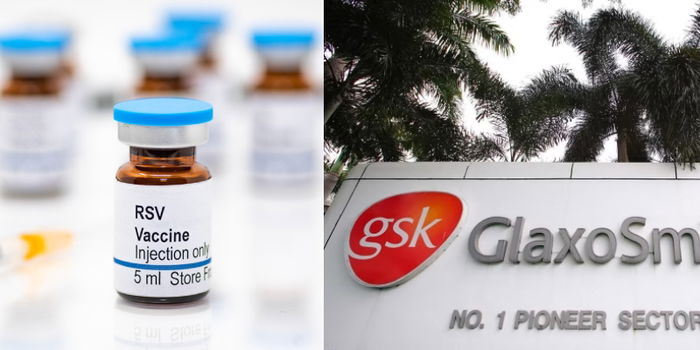 Arexvy Vaccine Approved in Singapore to Protect Seniors from RSV