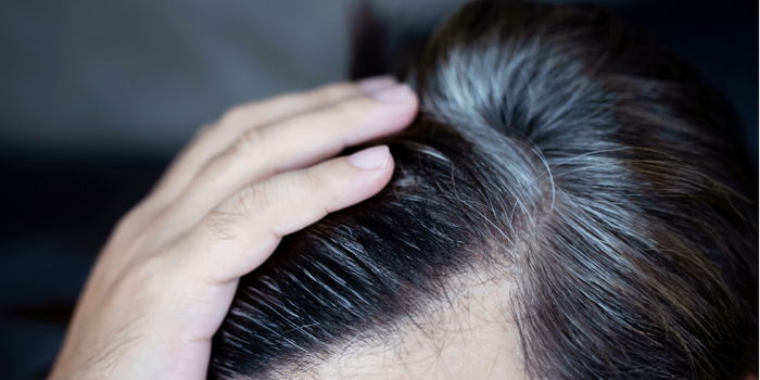 Stress and Hair Greying: The Science Explained