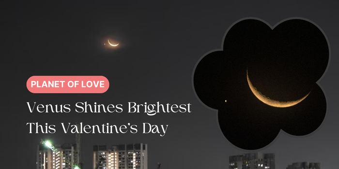 Venus Will Look Bigger and Brighter This Valentine's Day: Here's How to See the Planet of Love