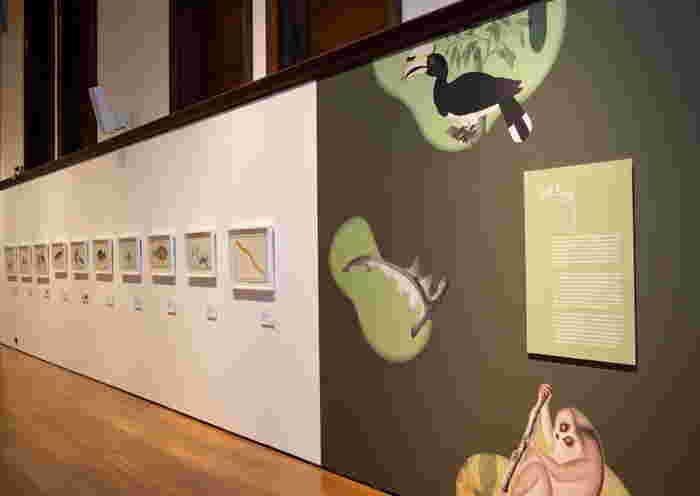 https://sg.theasianparent.com/sg60-list-singapores-treasured-natural-history-drawings-debut-at-the-australian-museum