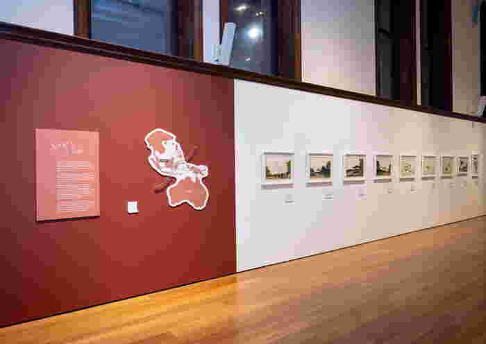 SG60 List: Singapores Treasured Natural History Drawings Debut at the Australian Museum