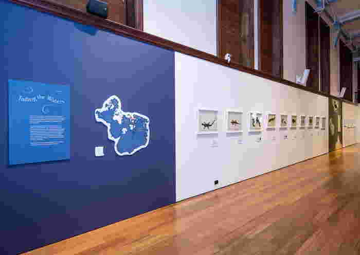 https://sg.theasianparent.com/sg60-list-singapores-treasured-natural-history-drawings-debut-at-the-australian-museum