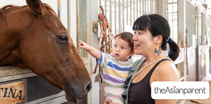 (26 July 2025) Meet Therapy Horses and Support a Cause at EQUAL Open Stables Day