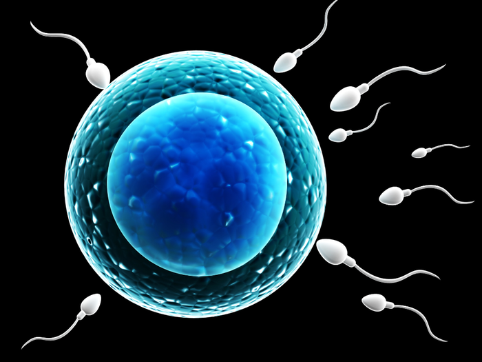 AI Fertility technology