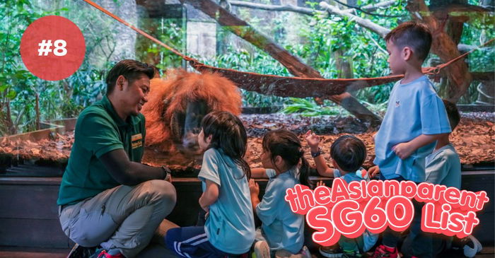 SG60 List: Asia’s First ZooSchool Opens—And It’s Right Here in Singapore