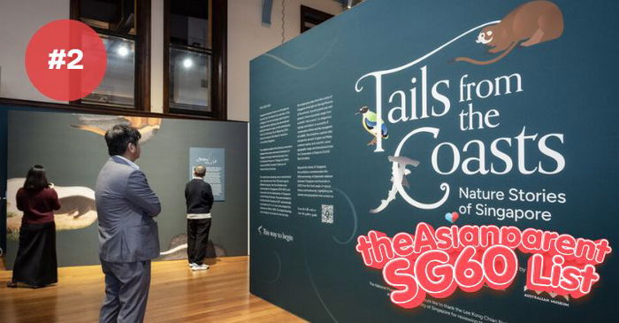 SG60 List: Singapore’s Treasured Natural History Drawings Debut at the Australian Museum