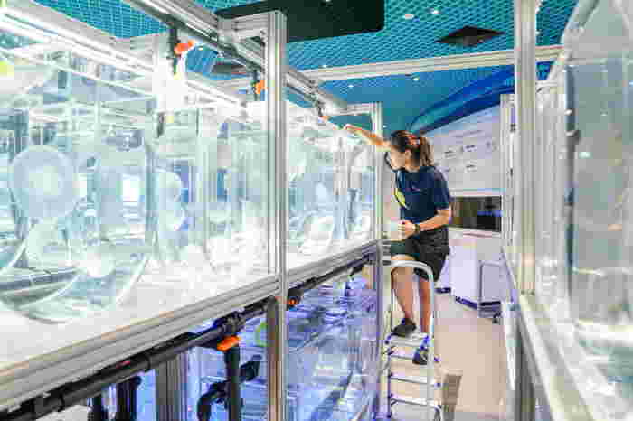 Resorts World Sentosas Singapore Oceanarium Introduces Exciting New Experiences