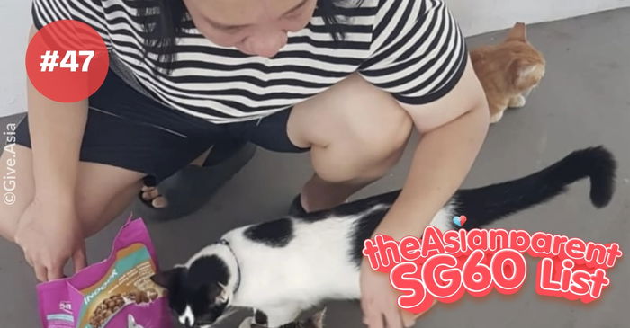 SG60 List: Singapore Celebrates Compassion by Feeding and Caring for Community Cats