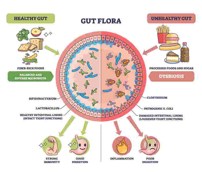 Nurturing Your Little Ones Gut: Understanding C-section and the Microbiome