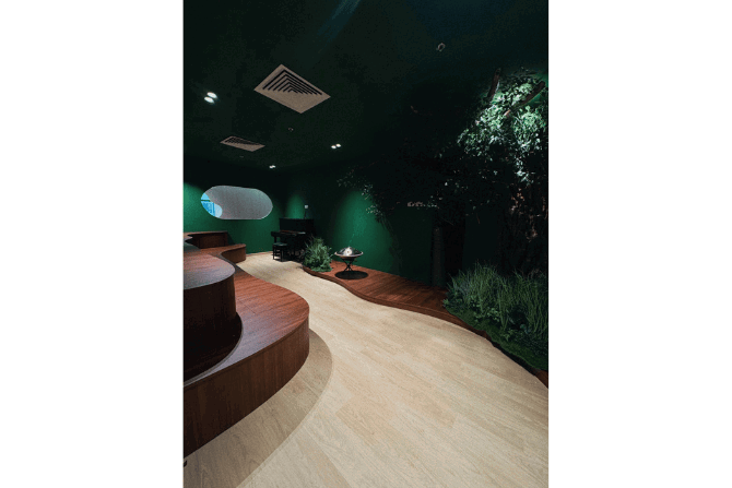 The Songbird Music Studio