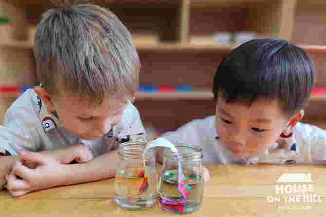A Lifelong Learning: Lasting Foundations for Your Child at House on the Hill Montessori