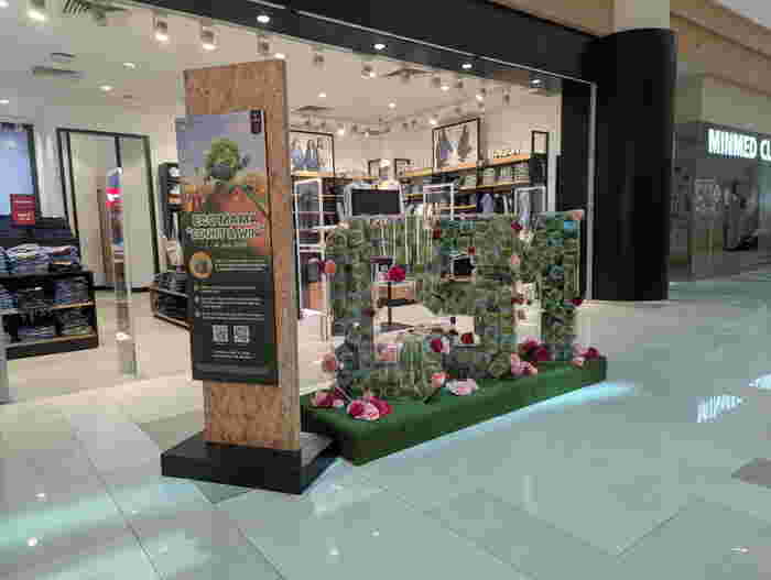 City Square Mall Education Fair