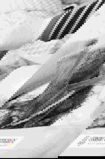 11 bức ảnh nghệ thuật sống động về nhau thai của bé sơ sinh