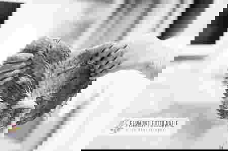 nhau-thai-cua-be-so-sinh