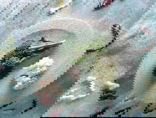 Resep Makanan Bayi : Puree Kembang Kol & Brokoli