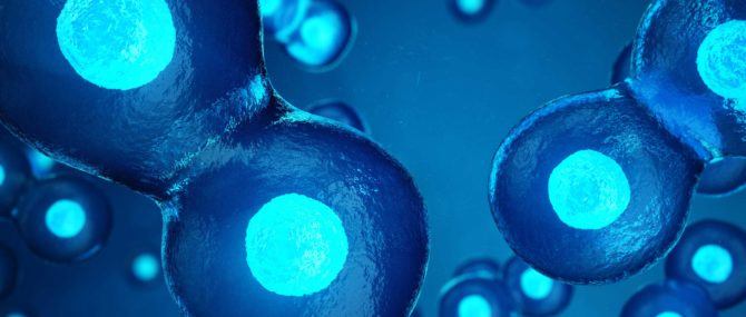 Assisted Hatching, Benarkah Bisa Tingkatkan Peluang Hamil Saat IVF?