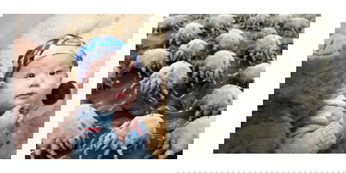 Bersih-bersih Mainan Anak? Gunakan Cara Yang Sesuai Untuk Setiap Jenis Mainan