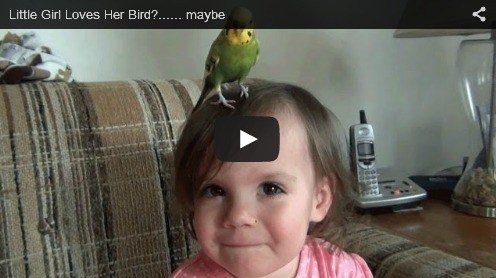 5 Video Bayi Lucu Bermain dengan Hewan Peliharaan