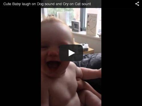 Bayi Ketawa Dengar Suara Anjing, tapi Nangis bila Dengar Suara Kucing