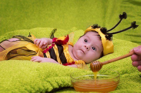 Bahaya Madu Untuk Bayi Di Bawah 1 Tahun