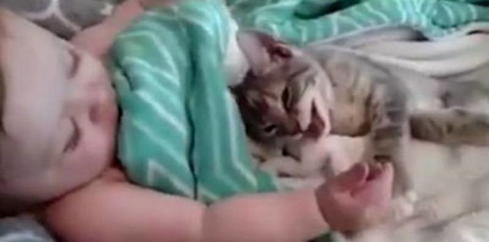 Inilah Bukti Bayi dan Kucing Bisa Berteman Akrab